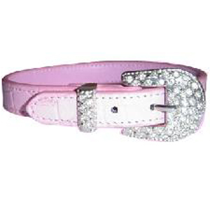 pet collar  leads